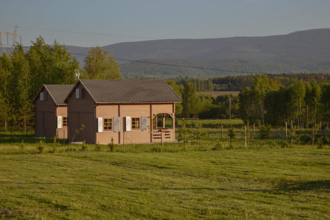 Holiday home Brzozami Malowane